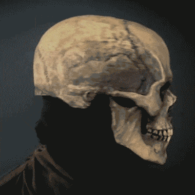 Load image into Gallery viewer, Halloween Skeleton Mask
